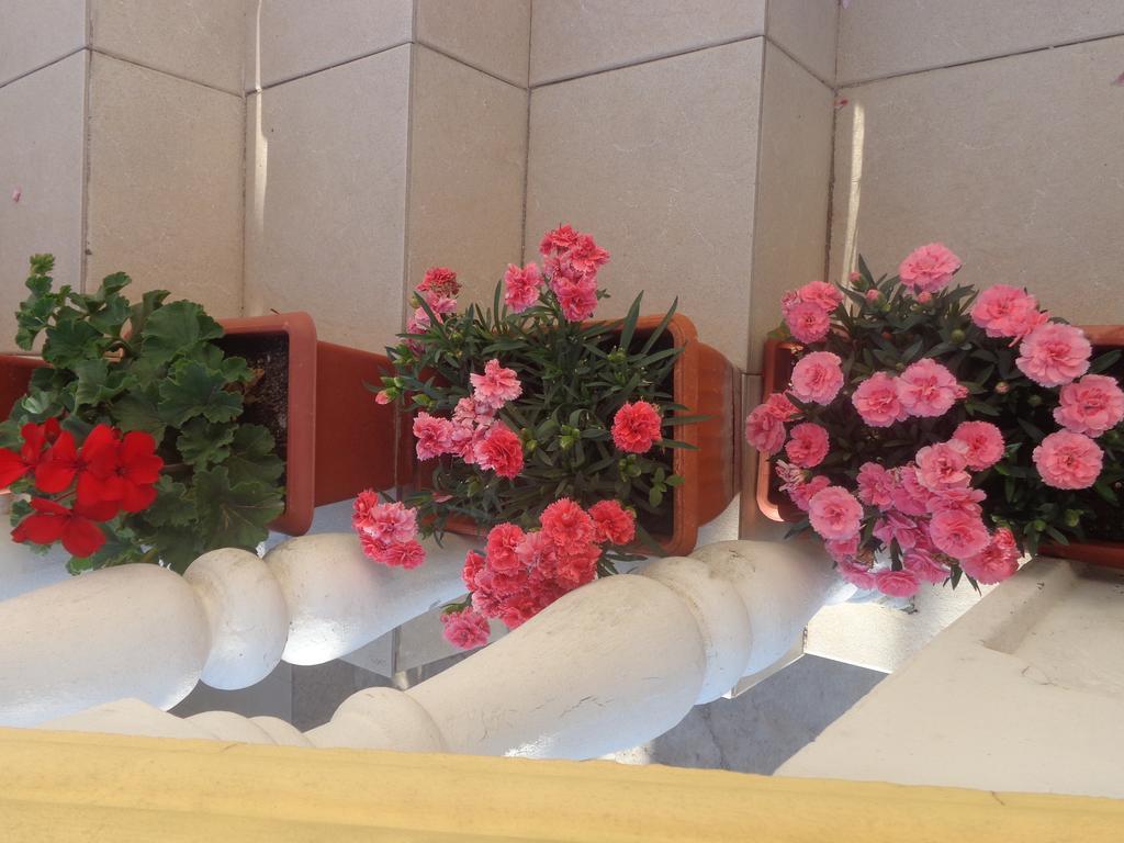 Guest House Ivana Τίβατ Εξωτερικό φωτογραφία